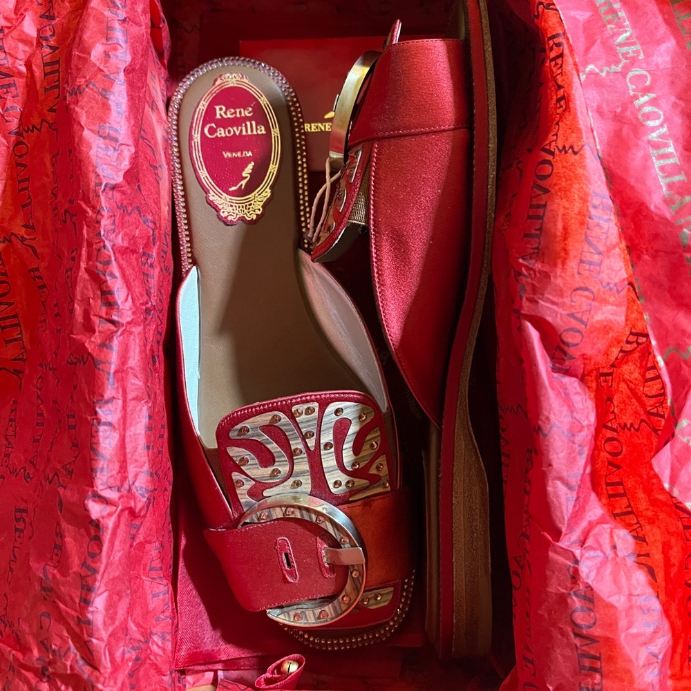 Rene Caovilla red flats